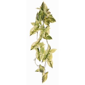 Umělá rostlina Syngonium LENFYN, tyč, závěsná, zelená, 90cm Umělá rostlina Syngonium LENFYN, tyč, závěsná, zelená, 90cm