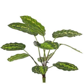 Umělá rostlina Calathea roseopicta WENFYN, plug-in tyč, zelená, 55cm Umělá rostlina Calathea roseopicta WENFYN, plug-in tyč, zelená, 55cm