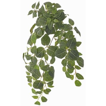 Umělá rostlina Fittonia LONFYN, tyč, závěsná, zelená, 75cm Umělá rostlina Fittonia LONFYN, tyč, závěsná, zelená, 75cm