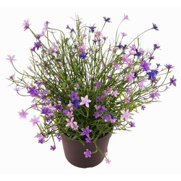 Dekorativní květina GISINDA v dekorativním květináči, lila, 25cm Dekorativní květina GISINDA v dekorativním květináči, lila, 25cm
