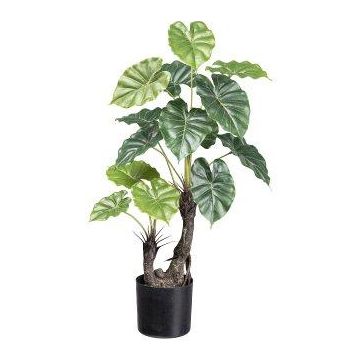 Umělá rostlina Colocasia SLIHER, umělý stonek, zelená, 70cm Umělá rostlina Colocasia SLIHER, umělý stonek, zelená, 70cm