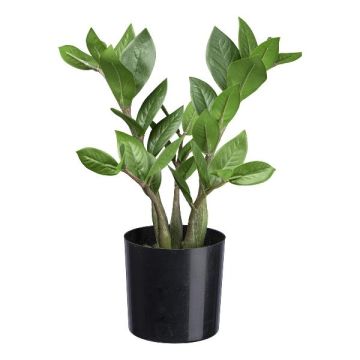Umělá rostlina Zamioculcas KROHIN, 30cm Umělá rostlina Zamioculcas KROHIN, 30cm