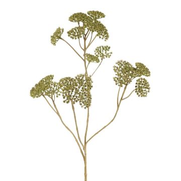 Plastový řebříček ORTEGA, zelený, 70cm, Ø4cm