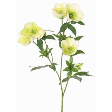 Umělá větvička vánoční růže ANYALA, zelenobílá, 60cm, Ø5-6cm