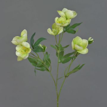 Umělá větvička vánoční růže ANYALA, zelenobílá, 50 cm