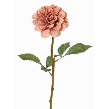 Dekorativní jiřina BREDANA, starorůžová, 60cm, Ø11cm Dekorativní jiřina BREDANA, starorůžová, 60cm, Ø11cm