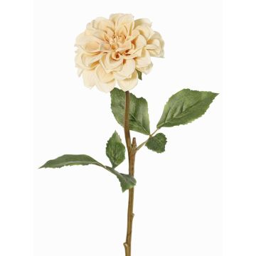Dekorativní květina jiřina BREDANA, béžová, 60cm, Ø11cm Dekorativní květina jiřina BREDANA, béžová, 60cm, Ø11cm