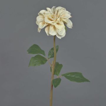 Dekorativní květina jiřina BREDANA, béžová, 60cm, Ø11cm