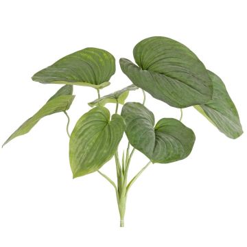 Umělá funkie RAIATEA na tyči, zelená, 65cm