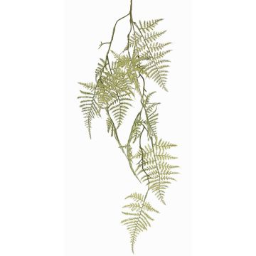 Dekorativní větev Asparagus plumosus UHERA, zelená, 90cm Dekorativní větev Asparagus plumosus UHERA, zelená, 90cm