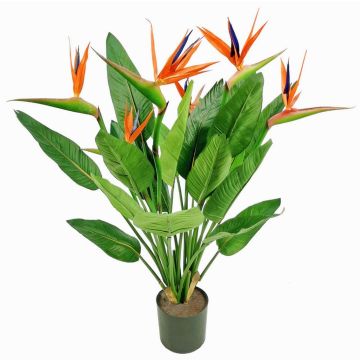Dekorativní strelície KUSUMA, oranžovofialová, 100cm Dekorativní strelície KUSUMA, oranžovofialová, 100cm