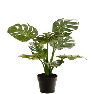 Umělý filodendron Monstera Deliciosa QUENTEA, dekorativní květináč, 60cm Umělý filodendron Monstera Deliciosa QUENTEA, dekorativní květináč, 60cm