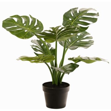 Umělý filodendron Monstera Deliciosa QUENTEA, dekorativní květináč, 60cm