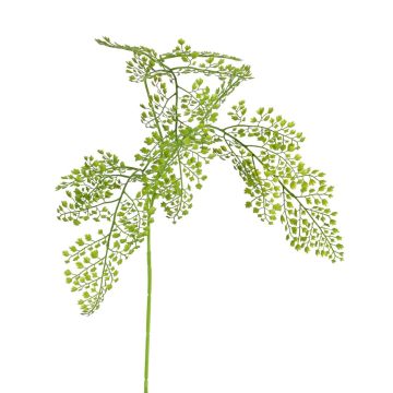 Umělá větev kapradiny URRACA, zelená, 90cm Umělá větev kapradiny URRACA, zelená, 90cm