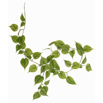 Věnec z pravého filodendronu Scandens MELUBO, zelený, 180cm