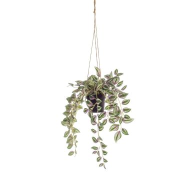 Umělý závěsný koš Tradescantia Zebrina SPROUT v dekorativním květináči, zelený, 40cm Umělý závěsný koš Tradescantia Zebrina SPROUT v dekorativním květináči, zelený, 40cm