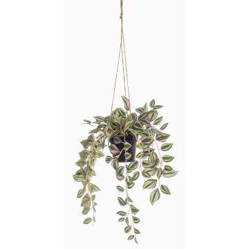 Umělý závěsný koš Tradescantia Zebrina SPROUT v dekorativním květináči, zelený, 40cm Umělý závěsný koš Tradescantia Zebrina SPROUT v dekorativním květináči, zelený, 40cm