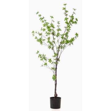 Umělý stromek nádherná nasturtium TUFFY, umělý kmen, zelený, 150cm