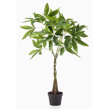 Umělý strom pačira ALEC, umělé kmeny, 90cm Umělý strom pačira ALEC, umělé kmeny, 90cm