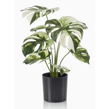 Umělý filodendron Monstera Deliciosa Variegata ZAINE, zelenobílý, 40cm Umělý filodendron Monstera Deliciosa Variegata ZAINE, zelenobílý, 40cm