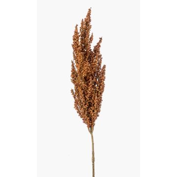 Umělá větev čiroku VANCE s trny, světle hnědá, 80cm Umělá větev čiroku VANCE s trny, světle hnědá, 80cm