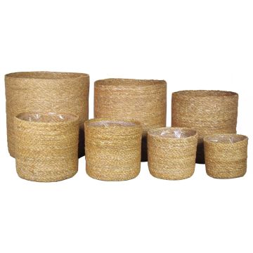 AMPARO koš z mořské trávy, 7 kusů, béžový, 12-30cm, Ø13-32cm AMPARO koš z mořské trávy, 7 kusů, béžový, 12-30cm, Ø13-32cm