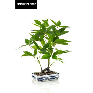 Umělý bonsai štěstí IVANO v keramické misce se vzorem, zelený, 60 cm Umělý bonsai štěstí IVANO v keramické misce se vzorem, zelený, 60 cm