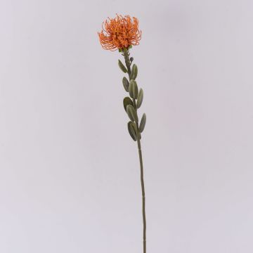 Umělý květinový polštářek Protea URMINE, suchý vzhled, oranžová, 60cm