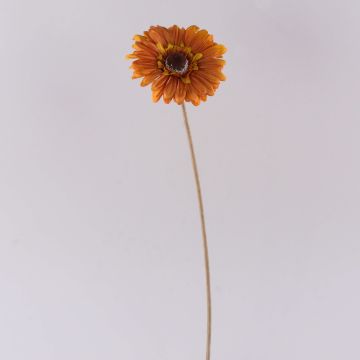Plastová květina Gerbera TUNGUSKA, suchý vzhled, oranžová, 50cm