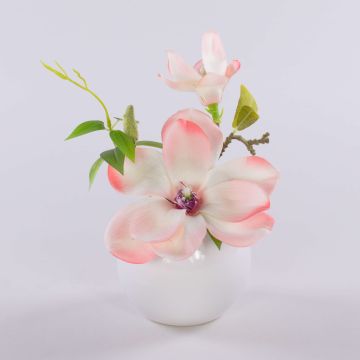 Umělá magnólie FEMI v bílém keramickém květináči, krémovo-meruňková, 20cm, Ø17cm Umělá magnólie FEMI v bílém keramickém květináči, krémovo-meruňková, 20cm, Ø17cm