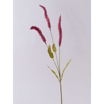 Dekorativní větvička trávy Liriope JELIKANTA s latami, burgundská, 60cm Dekorativní větvička trávy Liriope JELIKANTA s latami, burgundská, 60cm
