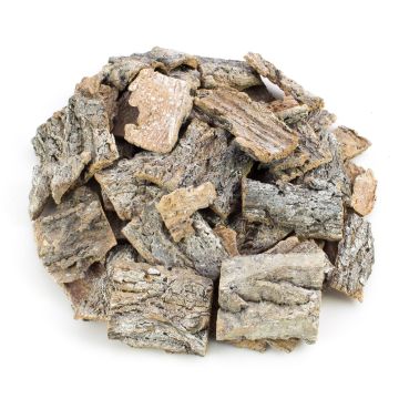 Dekorace z březové kůry RANDY, bělené, 6x7cm Dekorace z březové kůry RANDY, bělené, 6x7cm