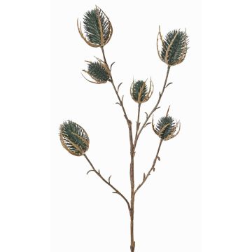 Pravý divoký kardon LORISU, tmavě zelený, 65cm, Ø3-4cm Pravý divoký kardon LORISU, tmavě zelený, 65cm, Ø3-4cm