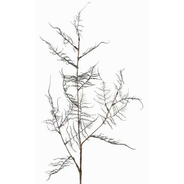 Umělá větvička Asparagus acutifolius NYALA, tmavě zelená, 85cm Umělá větvička Asparagus acutifolius NYALA, tmavě zelená, 85cm