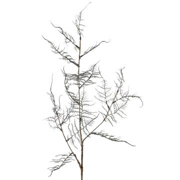 Umělá větvička Asparagus acutifolius NYALA, tmavě zelená, 85cm