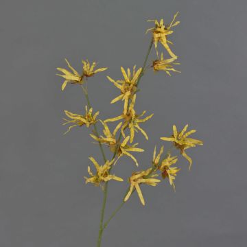 Umělá větev čarověníku ORAFA s květy, žlutá, 80cm Umělá větev čarověníku ORAFA s květy, žlutá, 80cm