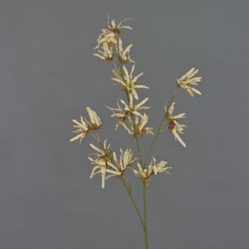 Umělá větev čarodějnice ORAFA s květy, béžová, 80cm Umělá větev čarodějnice ORAFA s květy, béžová, 80cm