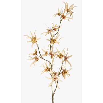 Umělá větev čarodějnice ORAFA s květy, béžová, 80cm, Ø4-8cm Umělá větev čarodějnice ORAFA s květy, béžová, 80cm, Ø4-8cm