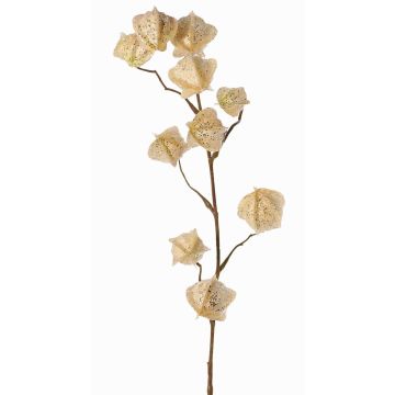 Umělá větev physalis AINOS, plody, třpytky, krémová, 80cm Umělá větev physalis AINOS, plody, třpytky, krémová, 80cm