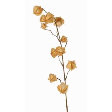 Umělá větvička physalis AINOS, plody, třpytky, béžová, 80cm Umělá větvička physalis AINOS, plody, třpytky, béžová, 80cm