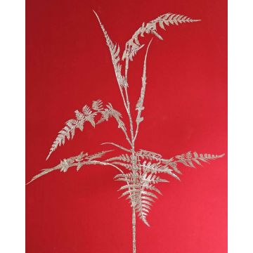 Dekorativní větvička Asparagus plumosus GIONA, stříbrná, 85cm Dekorativní větvička Asparagus plumosus GIONA, stříbrná, 85cm
