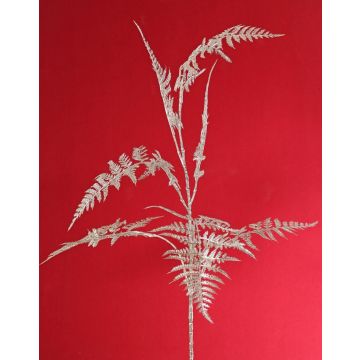 Dekorativní větvička Asparagus plumosus GIONA, stříbrná, 85cm