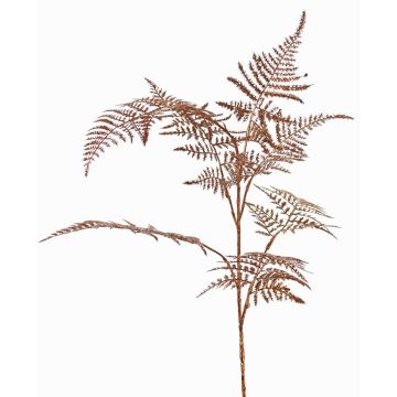 Dekorativní větvička Asparagus plumosus GIONA, měděná, 85cm Dekorativní větvička Asparagus plumosus GIONA, měděná, 85cm