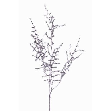 Dekorativní větev Asparagus acutifolius PARNASO, stříbrná, 100cm Dekorativní větev Asparagus acutifolius PARNASO, stříbrná, 100cm