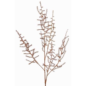 Dekorativní větvička Asparagus acutifolius PARNASO, měděná, 100cm Dekorativní větvička Asparagus acutifolius PARNASO, měděná, 100cm