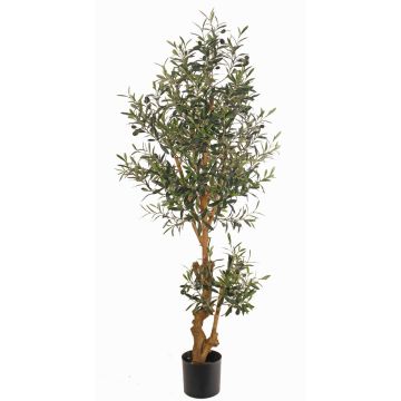 Plastový olivovník LAILANA, ovoce, umělý kmen, 150cm Plastový olivovník LAILANA, ovoce, umělý kmen, 150cm