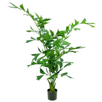 Plastová palma rybí ocas ORIAS, 140cm