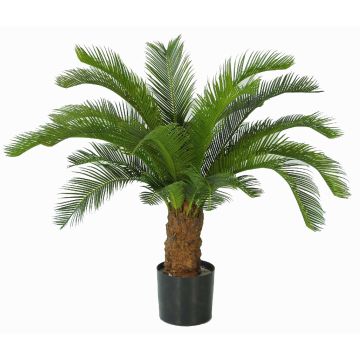 Dekorativní palma Cycas SLITAL, 80cm Dekorativní palma Cycas SLITAL, 80cm