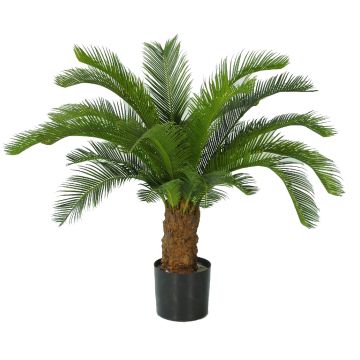 Dekorativní palma Cycas SLITAL, 80cm
