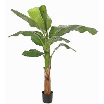 Umělý banánovník SCHWANA, 150cm Umělý banánovník SCHWANA, 150cm